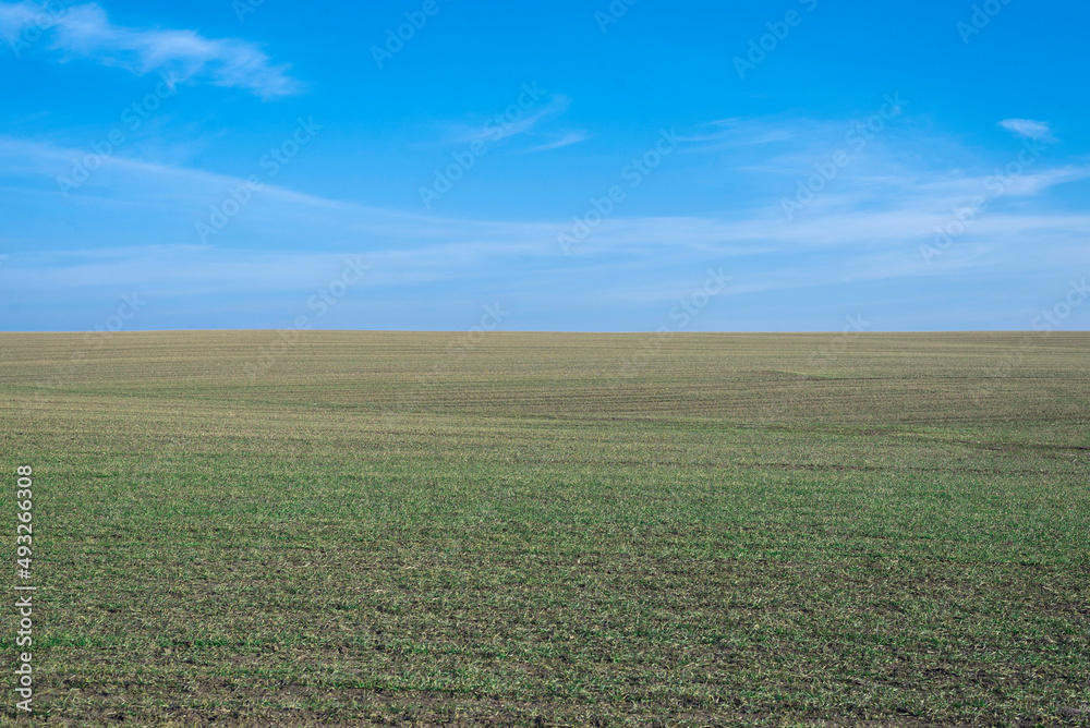 Ploughed field and blue sky as background. Ploughed field and blue sky as background.