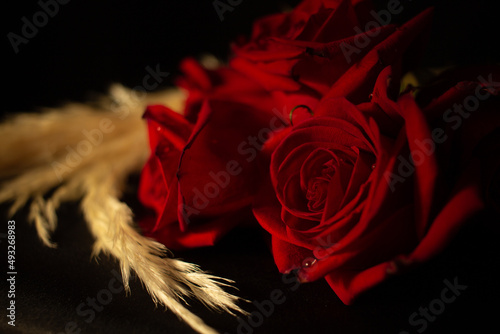 Beautiful romantic photo of red roses with dry golden branches on a black background and warm light