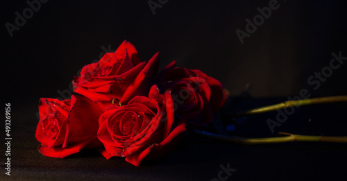 Beautiful photo of romantic red roses on a black background, with warm lighting, a surprise for valentine's day and a date