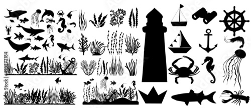 set of marine elements  signs  algae  fish silhouette isolated vector