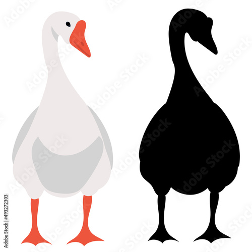 goose on white background flat design, isolated
