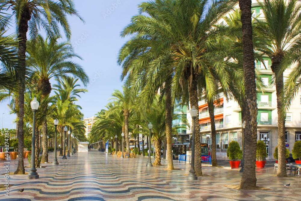 Esplanade - main promenade in Alicante, Spain 