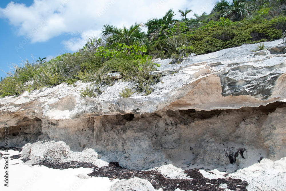 Half Moon Cay Island Eroded Beach Rocks Half Moon Cay Island Eroded Beach Rocks