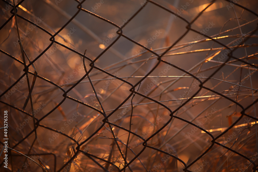 texture photo lattice fence texture photo lattice fence