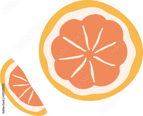 Citrus Orange Fruit Colored Illustration