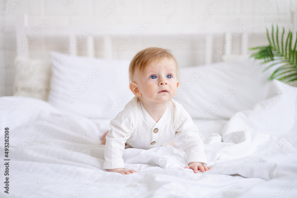 smiling baby 6 months old blond boy crawls on a white bed in a bright bedroom after sleeping in the morning in a cotton bodysuit, the concept of children's goods smiling baby 6 months old blond boy crawls on a white bed in a bright bedroom after sleeping in the morning in a cotton bodysuit, the concept of children's goods