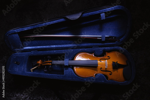 One Half Violin Details