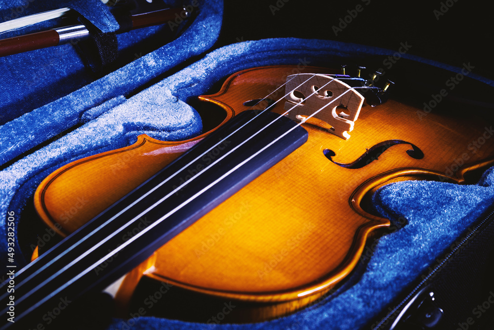 Fototapeta premium One Half Violin Details