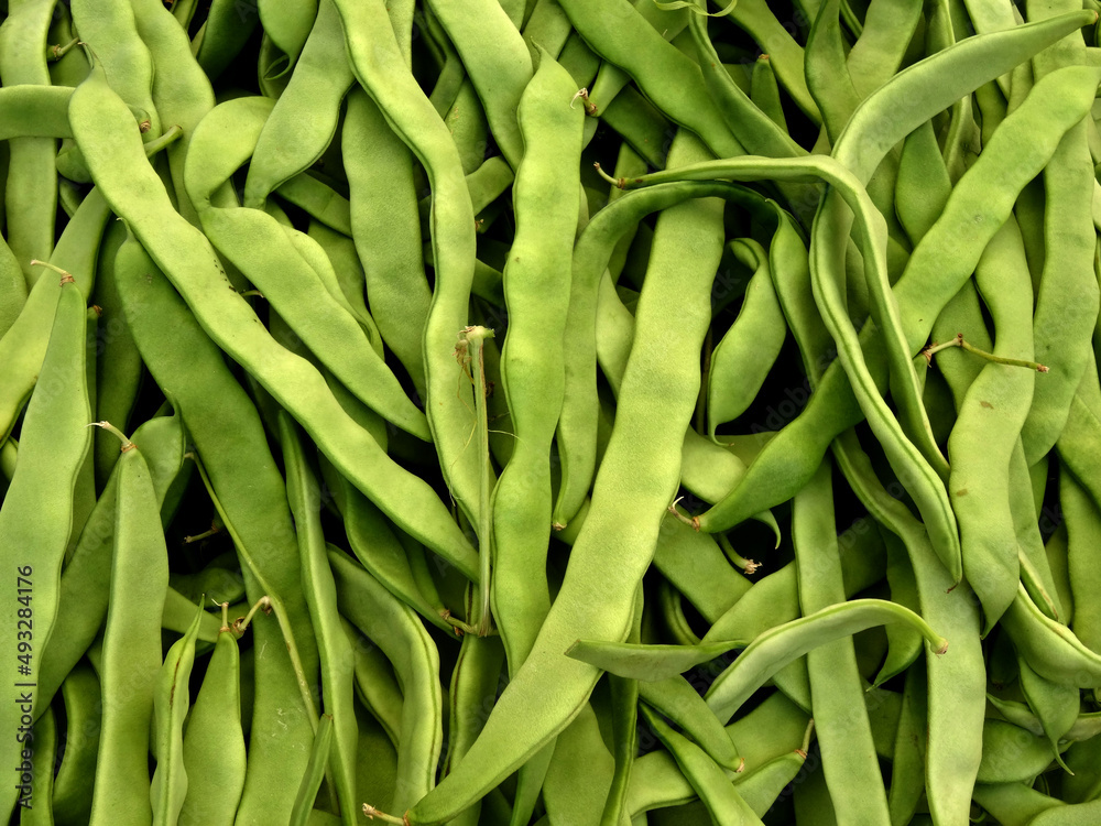 Fresh, organic runner (or flat) beans (Phaseolus coccineus in Latin) on a farmers market stall in the Aegean coastal town Bodrum, Turkey. Fresh, organic runner (or flat) beans (Phaseolus coccineus in Latin) on a farmers market stall in the Aegean coastal town Bodrum, Turkey.