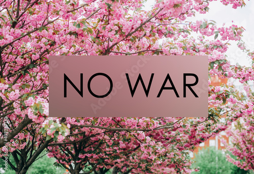 No War Ukraine. Spring flowers. Pink blooming sakura on sky background.  © Yuliia
