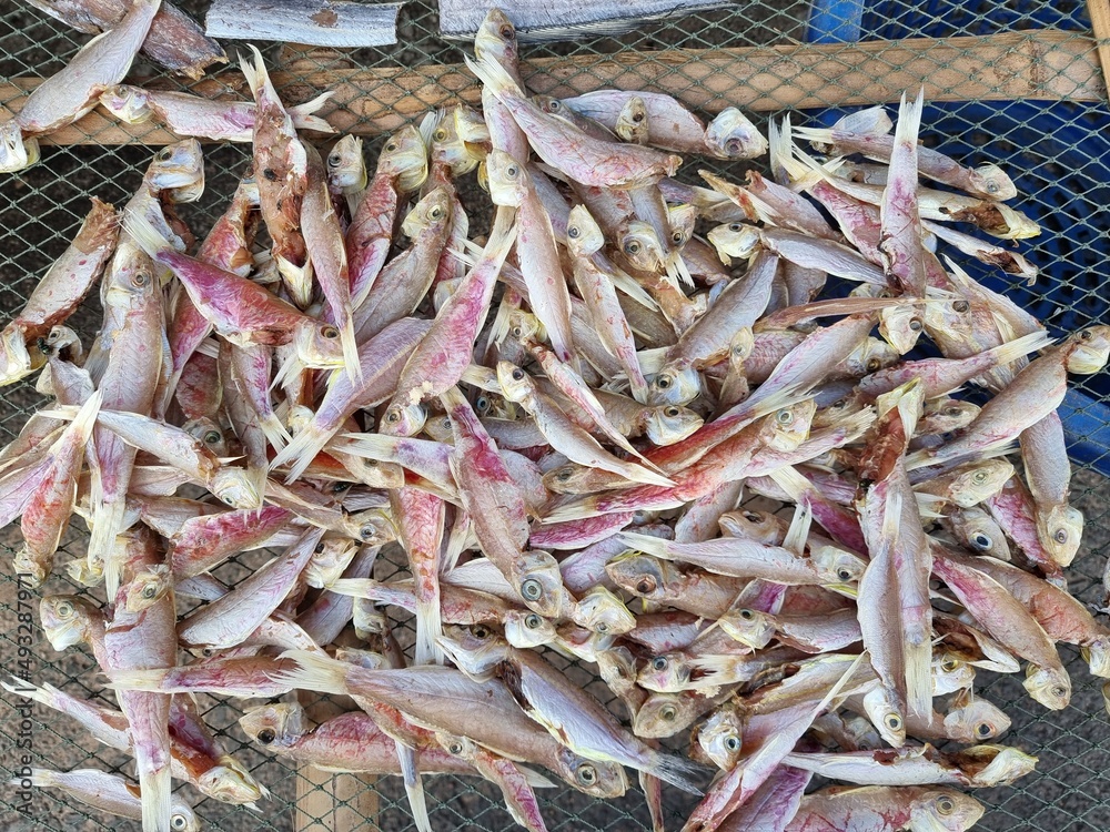 Many sea fish. Sliced sea fish wilts in the open air. Withering fish in the sun. sun-dried jerky fish. Thailand seafood