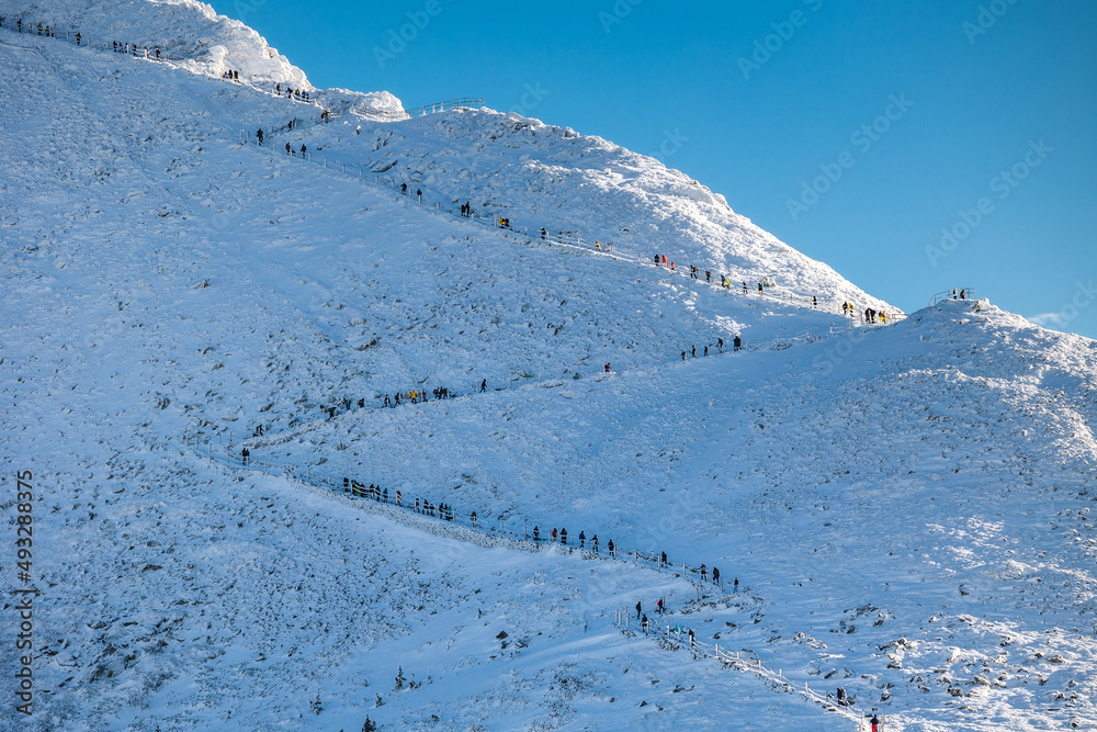 Winter views in the Giant Mountains on a sunny day. Beautiful weather encouraged people to go on the trail. Poland, Lower Silesian Voivodeship.