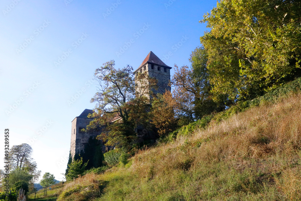 Fototapeta premium The Castle Lichtenberg in Oberstenfeld, Baden-Württemberg, Germany, Europe.