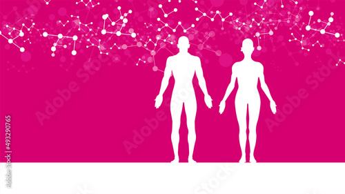 sistema immunitario, corpo umano, silhouette,	