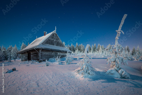 Fototapeta Naklejka Na Ścianę i Meble -  Shelter on Rysianka before sunrise. An atmospheric winter morning.