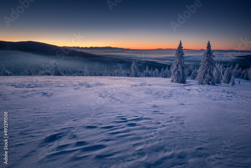 Fototapeta Naklejka Na Ścianę i Meble -  A frosty winter morning in Beskid Żywiecki. Views of the Tatra Mountains and Mala Fatra.