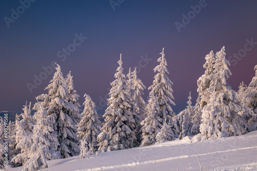 Fototapeta Naklejka Na Ścianę i Meble -  A frosty winter morning in Beskid Żywiecki. Views of the Tatra Mountains and Mala Fatra.