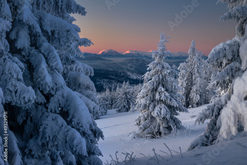Fototapeta Naklejka Na Ścianę i Meble -  A frosty winter morning in Beskid Żywiecki. Views of the Tatra Mountains and Mala Fatra.