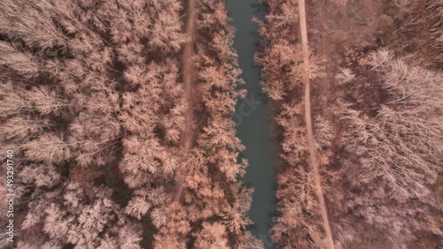 vista aérea de rio con arboles