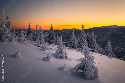 Fototapeta Naklejka Na Ścianę i Meble -  A frosty winter morning in Beskid Żywiecki. Views of the Tatra Mountains and Mala Fatra.