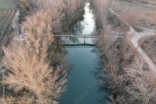 puente sobre rio y arboles