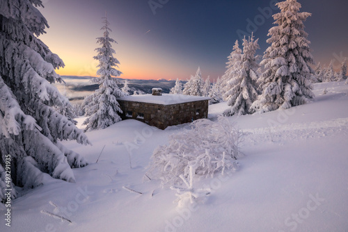 Fototapeta Naklejka Na Ścianę i Meble -  A frosty winter morning in Beskid Żywiecki. Views of the Tatra Mountains and Mala Fatra.