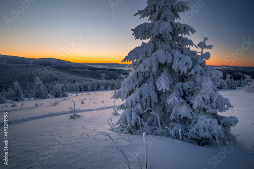 Fototapeta Naklejka Na Ścianę i Meble -  A frosty winter morning in Beskid Żywiecki. Views of the Tatra Mountains and Mala Fatra.