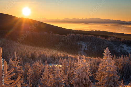 Fototapeta Naklejka Na Ścianę i Meble -  A frosty winter morning in Beskid Żywiecki. Views of the Tatra Mountains and Mala Fatra.