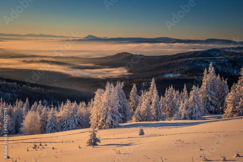 Fototapeta Naklejka Na Ścianę i Meble -  A frosty winter morning in Beskid Żywiecki. Views of the Tatra Mountains and Mala Fatra.