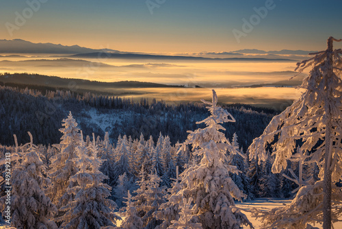 Fototapeta Naklejka Na Ścianę i Meble -  A frosty winter morning in Beskid Żywiecki. Views of the Tatra Mountains and Mala Fatra.
