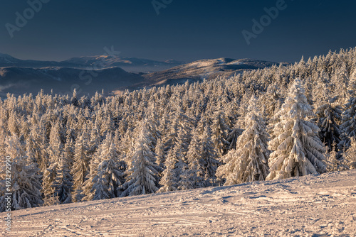 Fototapeta Naklejka Na Ścianę i Meble -  A frosty winter morning in Beskid Żywiecki. Views of the Tatra Mountains and Mala Fatra.