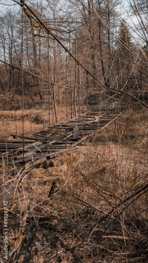 Beautiful rusty broken bridge over the Apocalypse River Overgrown bridge Old bridge Beautiful rusty broken bridge over the Apocalypse River Overgrown bridge Old bridge