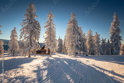 Fototapeta Naklejka Na Ścianę i Meble -  A frosty winter morning in Beskid Żywiecki. Views of the Tatra Mountains and Mala Fatra.
