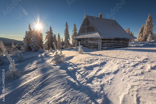 Fototapeta Naklejka Na Ścianę i Meble -  Shelter on Rysianka before sunrise. An atmospheric winter morning.