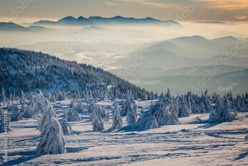 Fototapeta Naklejka Na Ścianę i Meble -  A frosty winter morning in Beskid Żywiecki. Views of the Tatra Mountains and Mala Fatra.
