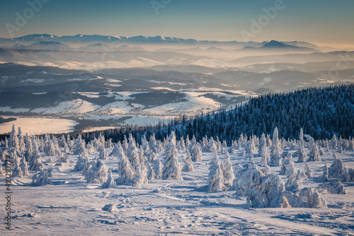 Fototapeta Naklejka Na Ścianę i Meble -  A frosty winter morning in Beskid Żywiecki. Views of the Tatra Mountains and Mala Fatra.