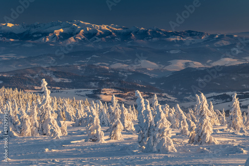 Fototapeta Naklejka Na Ścianę i Meble -  Winter sunset seen from Pilsko in Beskid Żywiecki. Beautiful views of the Tatras and the Mala Fatra massif, bathed in golden light.