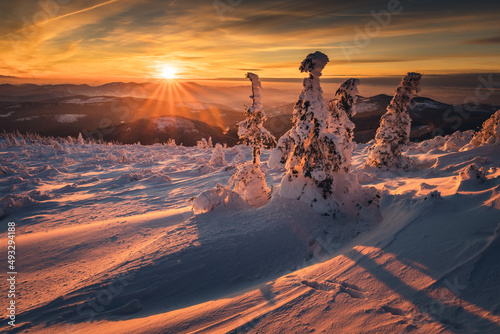 Fototapeta Naklejka Na Ścianę i Meble -  Winter sunset seen from Pilsko in Beskid Żywiecki. Beautiful views of the Tatras and the Mala Fatra massif, bathed in golden light.