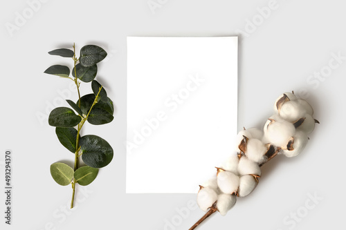 Square mockup invitation card. Cotton branch and eucalyptus branch on a gray background.