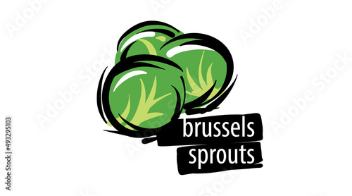 Drawn brussels sprouts isolated on a white background