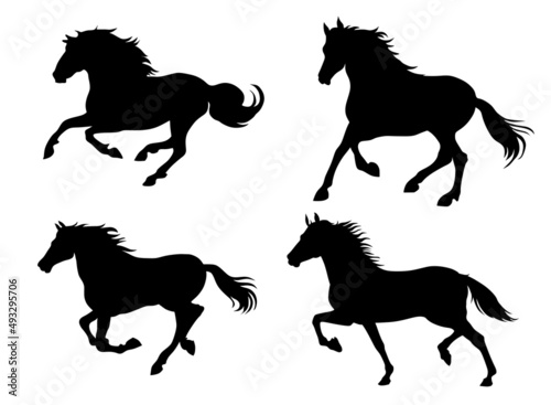 horse silhouette vector