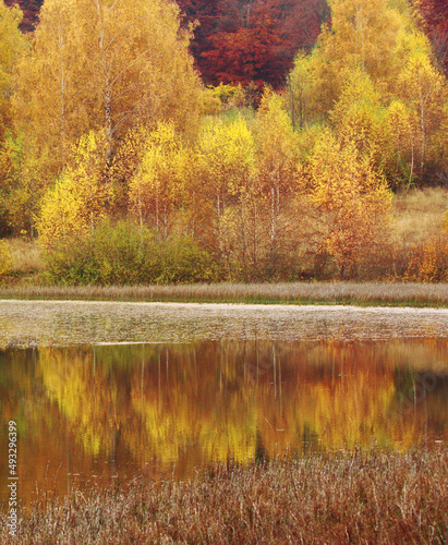 amazing autumn sunrise image in mountains, autumn morning dawn, nature colorful background, Carpathians mountains, Ukraine, Europe