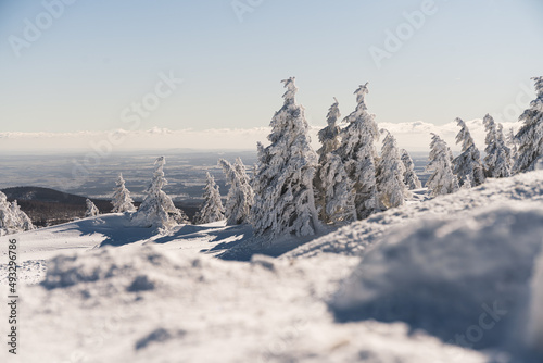 Berge und Bäume mit Schnee bedeckt  © Dominic Wunderlich