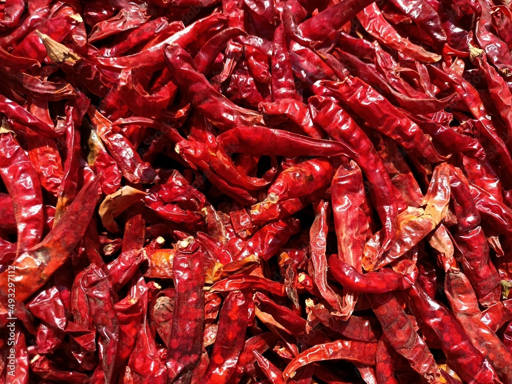 Indian red chilli,dry chilies, dried red chillies