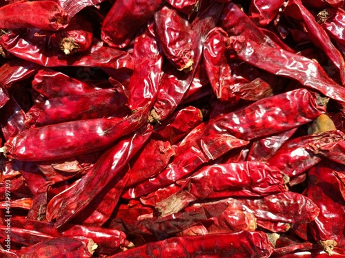 Red chilli drying in sunlight background