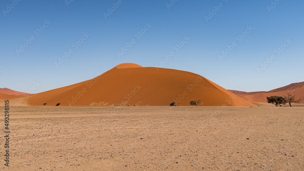 Dune 45 in Namib Naukluft Desert with a blue sky, Sesriem, Sossusvlei, Namibia, Southern Africa
