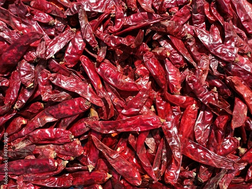 Dry red chillies, kashmiri chilli, spicy red chillies, dried chillies,indian red chillies photo