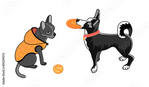 Chihuahua and Papillon dogs in cartoon and their toys isolated on white background.One character is wearing a vest, the other with a flying saucer in his mouth.Hand drawn vector stock illustration.
