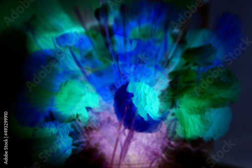 Magic luminous flowers. Beautiful flowers abstract background. Inspiration fantasy image