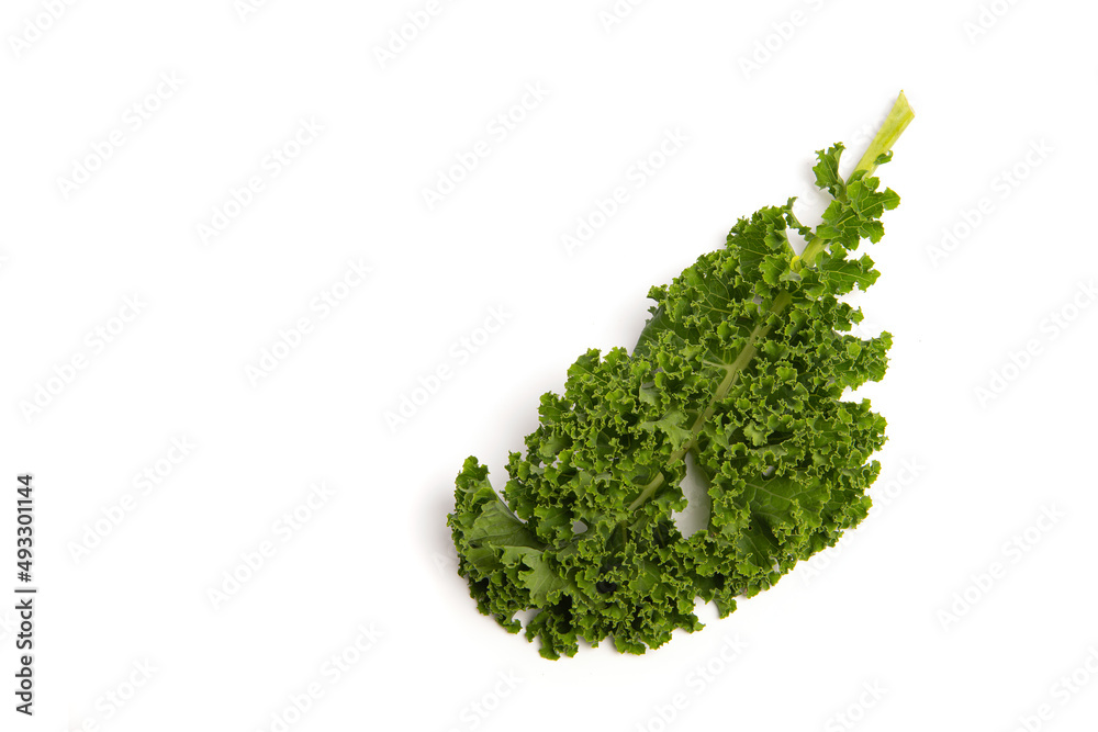 Fototapeta premium Single green leaf of the vegetable kale on a white background seen from above with space for copy